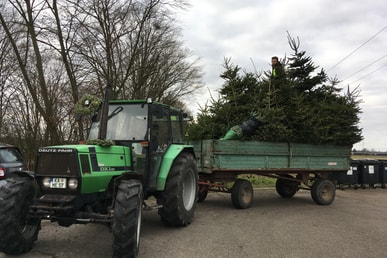 Christbaumaktion
